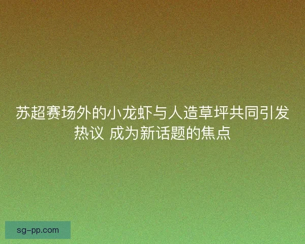 苏超赛场外的小龙虾与人造草坪共同引发热议 成为新话题的焦点 苏超赛场外的小龙虾与人造草坪共同引发热议 成为新话题的焦点