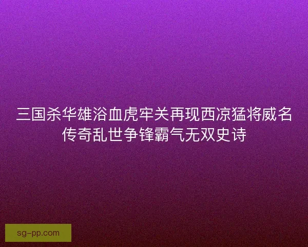 三国杀华雄浴血虎牢关再现西凉猛将威名传奇乱世争锋霸气无双史诗